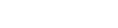 PalmSure Logo White